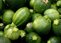 Zucchini Round Seeds, 20 Non-GMO Cucurbita pepo, Summer Vegetable, Bush-Type, Compact Growth, USA Free Shipping