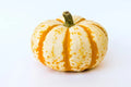 Dwarf Tiger Striped Pumpkin Seeds - 10 Pack, Colorful Fall Decor, Cucurbita pepo, Compact Growth, Autumn Garden, Seasonal Decoration