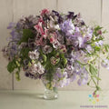 Sweet Pea Seeds - 50+ Spencer Ripple Mix - Fragrant Climbing Flower - Lathyrus odoratus Garden Seeds, USA