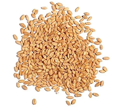 Straw Bale 36 Inches Long for Gardening, Natural Wheat, Eco-Friendly, Versatile Planting Medium