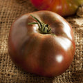 Heirloom Tomato Seeds - Black Brandywine Potato Leaf Beefsteak - 50 Seeds - Indeterminate, Heirloom, Large Fruit, Solanum lycopersicum