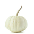 White Pumpkin Seeds - Ghost Variety - Cucurbita pepo - 25+ Seeds for Garden Planting, Fall Decorations, USA Grown