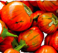 Turkish Orange Eggplant Seeds - Non-GMO Solanum melongena Heirloom Vegetable Garden Seeds, Vibrant Orange Color, Easy to Grow