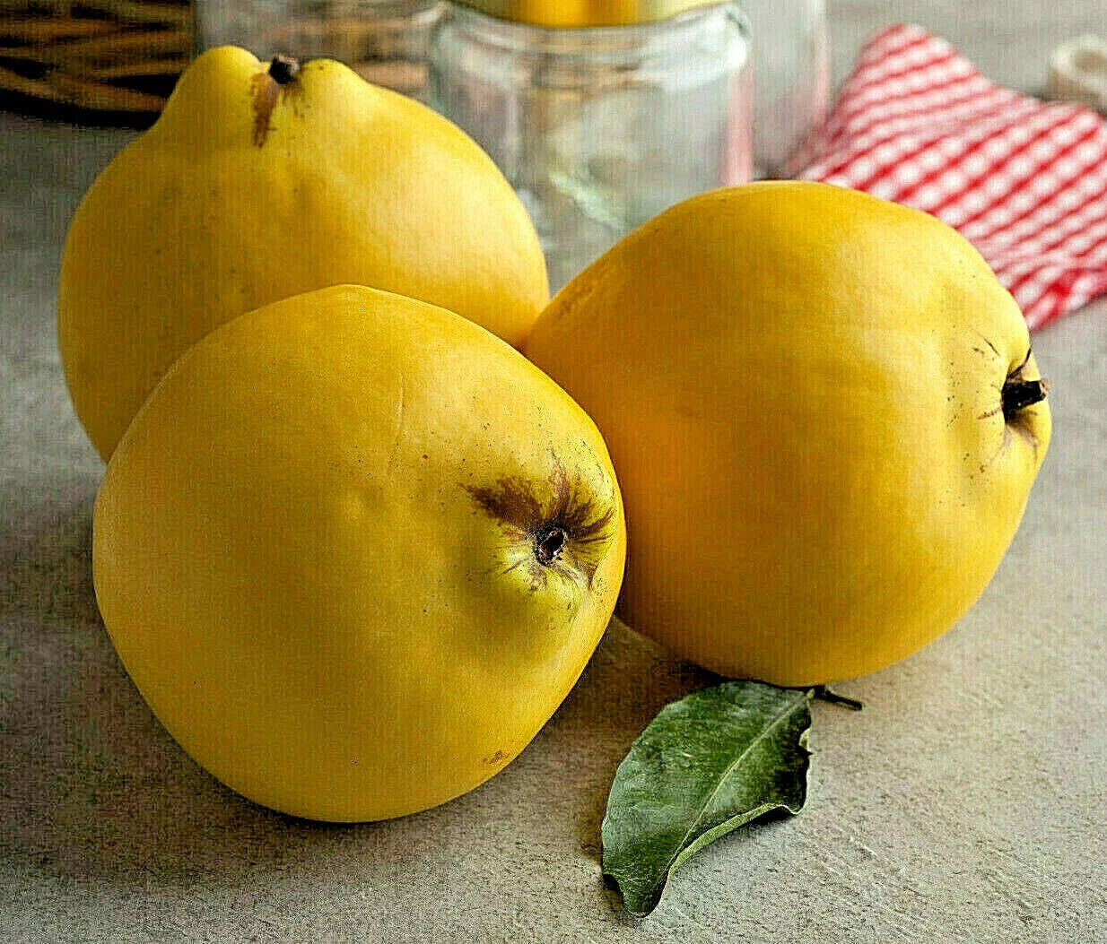 20 Common Quince Seeds for Home Garden, Cydonia oblonga Fruit Tree Seeds, Edible Aromatic Fruits, Deciduous Tree, 20 Seeds