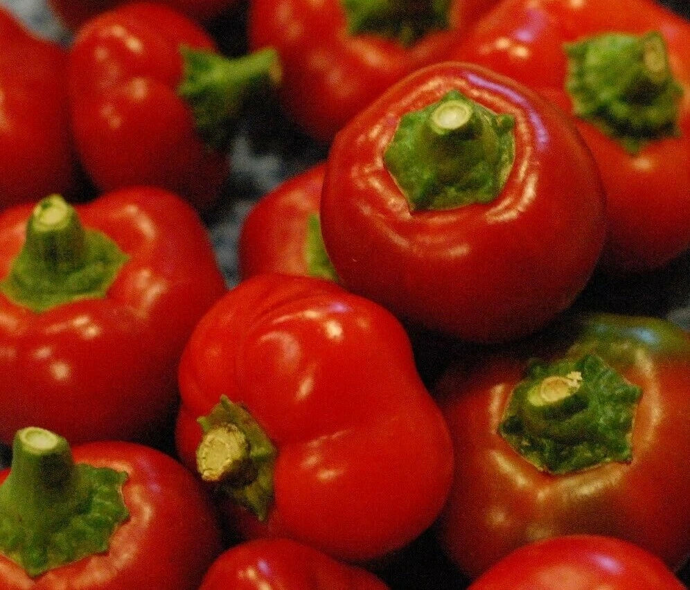 Red Cherry Pepper Seeds - 50+ Non-GMO Capsicum annuum Hot Pepper Seeds for Garden, Container, Culinary Use