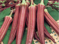 Red Burgundy Okra Seeds - Organic Abelmoschus esculentus for Home Gardening, Vibrant Red Pods, Easy to Grow, Non-GMO Seed Pack