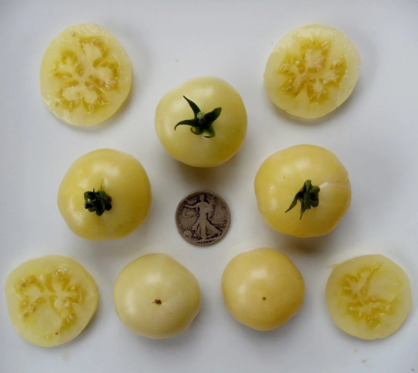 Super Snow White Vegetable Seeds - Non-Acidic, Very Sweet, 25 Seeds for Home Garden, Salad & Cooking