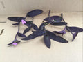 Purple Jade Cuttings 6 Pack | Crassula ovata var. Gollum Succulents for Indoor & Outdoor Gardening