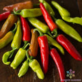Pepperoncini Italian Sweet Pepper Seeds - Organic Heirloom Capsicum annuum - 25+ Seeds for Gardening & Cooking
