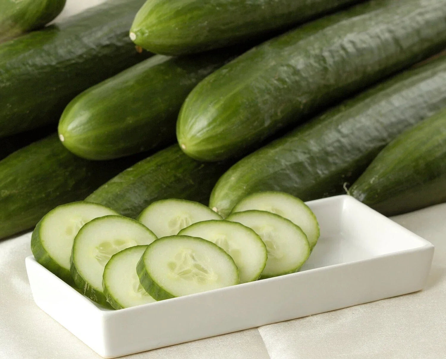 Ashley Long Cucumber Seeds – Heirloom, Organic, Non-GMO, 10+ Cucumis sativus for Salad, Garden & Container Growing