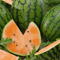 Organic Tendersweet Orange Watermelon Seeds - Citrullus lanatus, 40 Pack, Juicy, Sweet, Vining, Summer Fruit Seeds