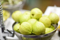 Lemon Guava Seeds - 20+ Psidium guajava Tropical Fruit Plant for Garden or Container Growing