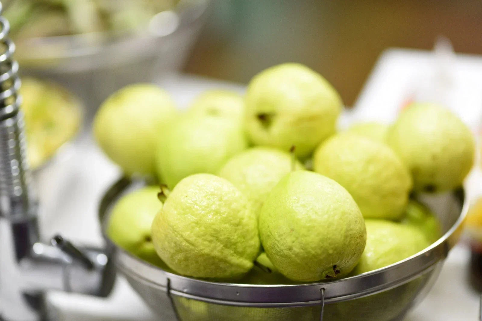 Lemon Guava Seeds - 20+ Psidium guajava Tropical Fruit Plant for Garden or Container Growing