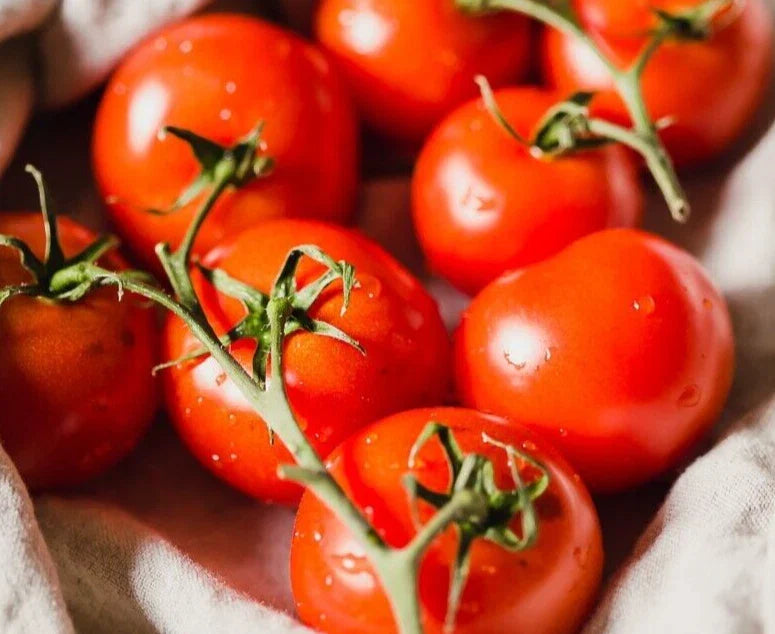 Sweet Campari Tomato Seeds - 25 Premium Solanum lycopersicum, Indeterminate, Juicy, Flavorful, Non-GMO, for Home Garden