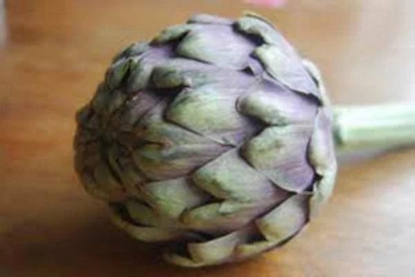 Artichoke Seeds 20+ Heirloom Green Globe Cynara scolymus Vegetable Garden Plant