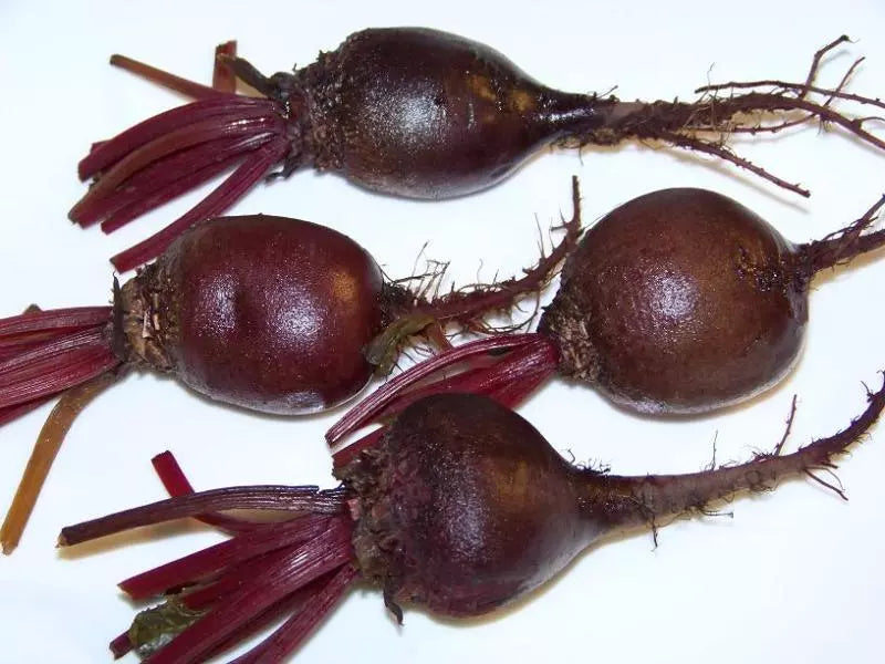 Beet Seeds - 163 Count - Detroit Dark Red Beta vulgaris Vegetable Seeds for Gardening, Heirloom, Non-GMO, Full Sun, Container Friendly