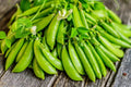 Sugar Daddy Snow Pea Seeds - 50 Count, Sweet Edible Pods, Pisum sativum var. macrocarpon, Cool-Season Vegetable for Garden Planting