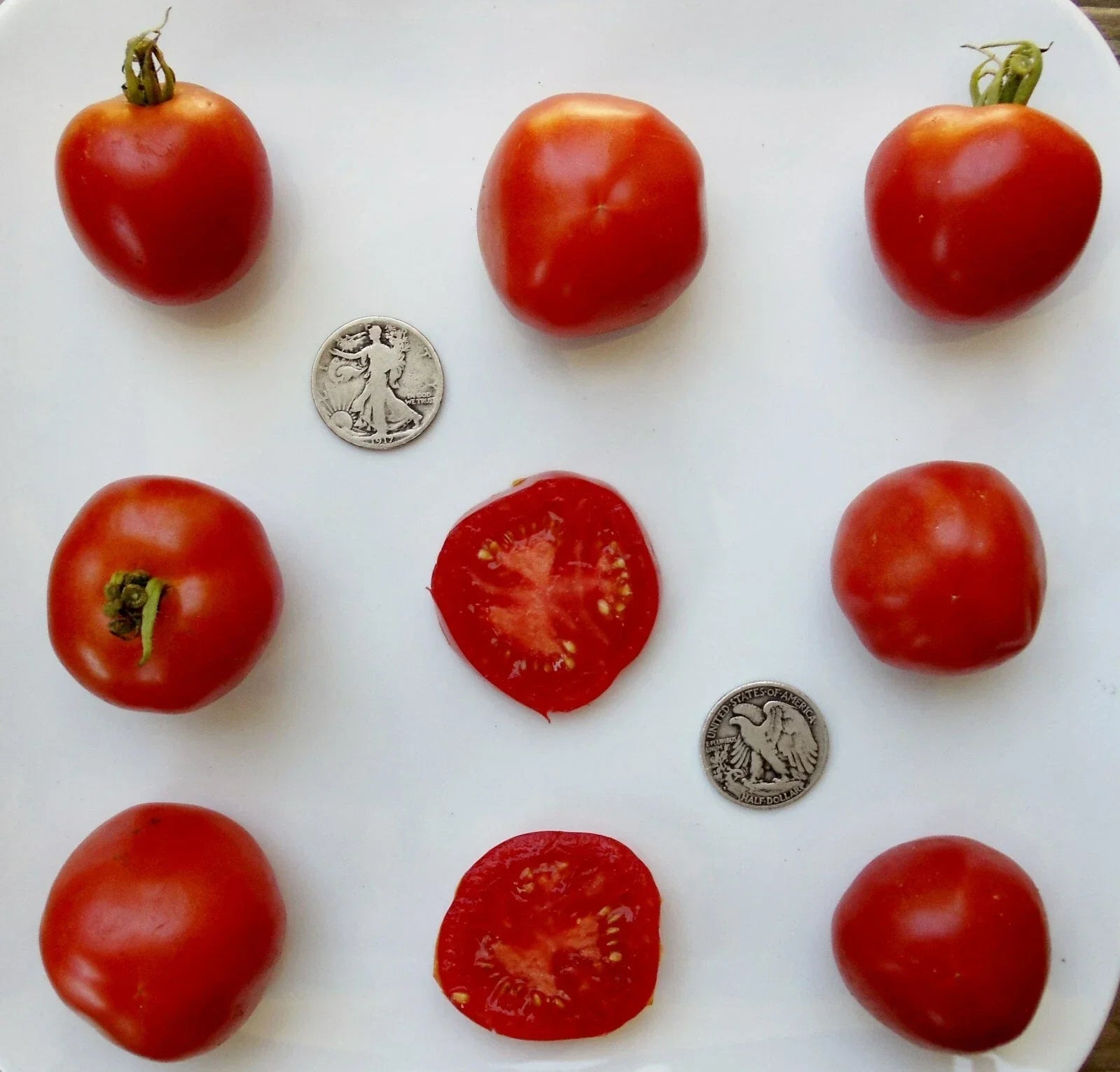 Stupice Tomato Seeds - Early Heirloom Variety - 25 Solanum lycopersicum Fresh Seeds for Home Gardening