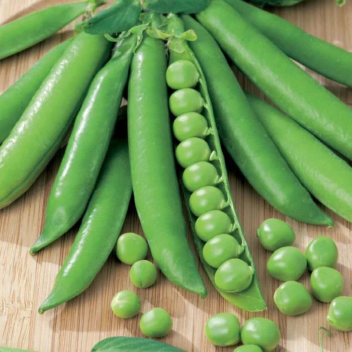 Green Arrow English Shelling Pea Seeds | Heirloom Sweet Snap Peas | Non-GMO Garden Seeds for Planting