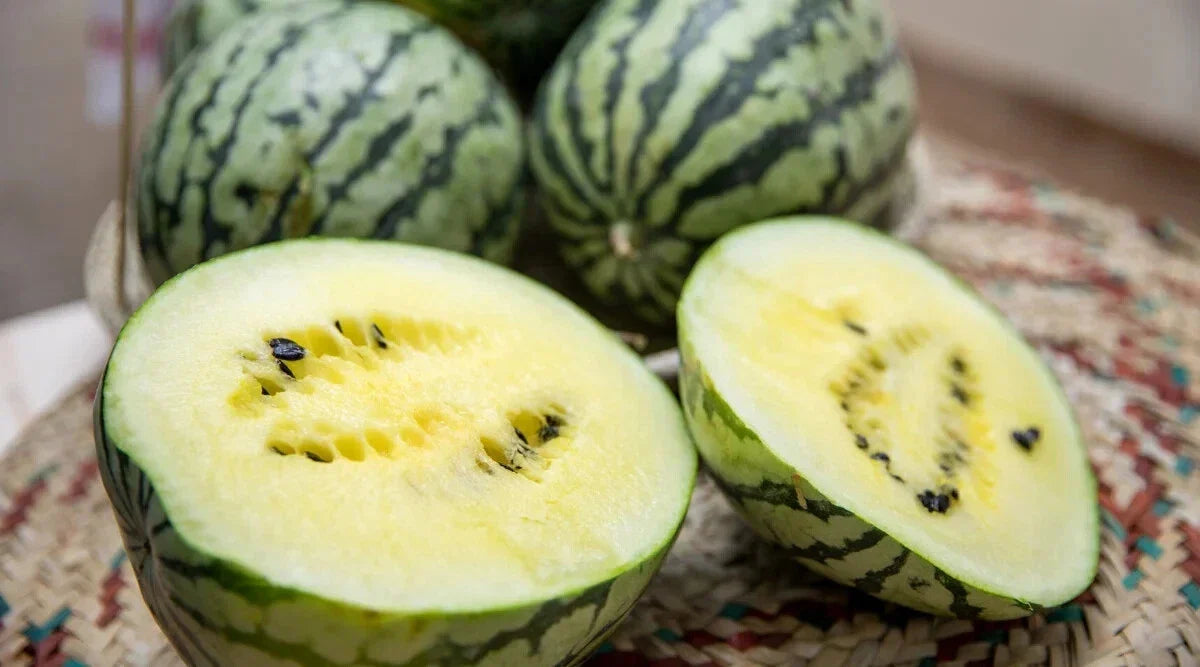 Cream of Saskatchewan Watermelon Seeds - 50+ Pack, Heirloom Citrullus lanatus, Juicy, Sweet, Vining, Open-Pollinated, Non-GMO