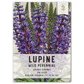 Wild Perennial Lupine Seeds - Native Blue Flowering Plant - Lupinus perennis - Perennial Wildflower Seeds for Pollinators