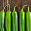 Serrano Pepper Seeds 23,000 Scoville Green Capsicum annuum for Gardening & Cooking, 100 Pack