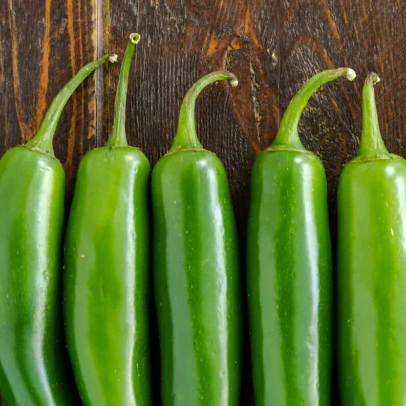Serrano Pepper Seeds 23,000 Scoville Green Capsicum annuum for Gardening & Cooking, 100 Pack