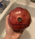 Organic Pomegranate Seeds - Non-GMO Edible Fruit Tree Seeds for Garden - Punica granatum