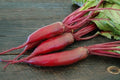 Organic Cylindra Beet Seed - Beta vulgaris Heirloom, Non-GMO, Full Sun, Easy to Grow, 200 Seeds for Gardening and Harvest