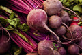 Detroit Dark Red Beet Seeds - Heirloom NON-GMO Detroit Globe Variety, Vegetable Seeds for Garden, Rich Color & Flavor