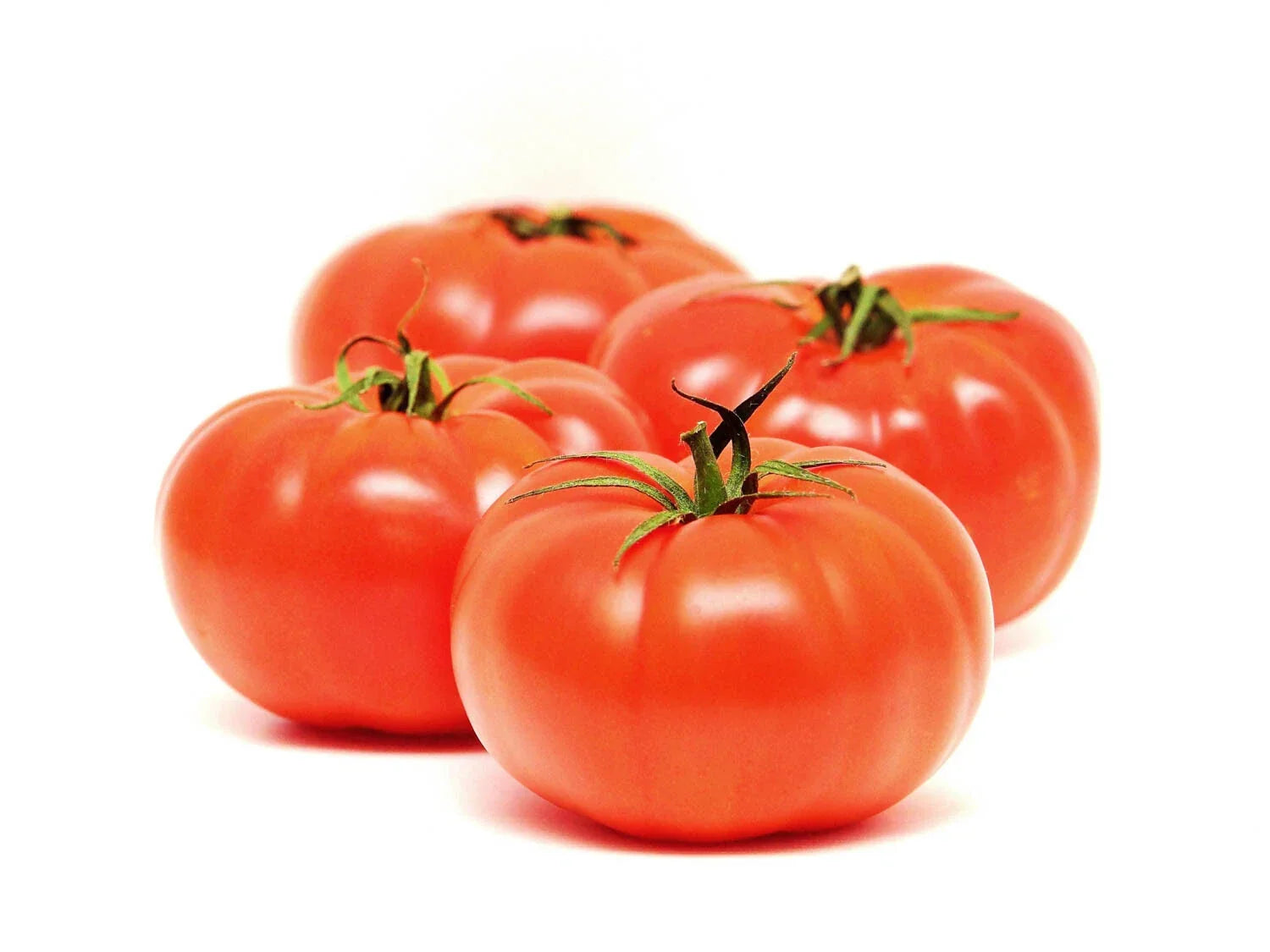 Beefsteak Tomato Seeds – Heirloom, Large Juicy Fruits, Solanum lycopersicum, Open-Pollinated, Non-GMO, for Home Gardens & Containers