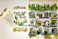 Culinary Herb Seeds Variety Pack – 12+ Heirloom Fresh Seeds for Home Gardening, Indoor & Outdoor, Non-GMO, Easy to Grow