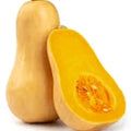 Butternut Winter Squash Seeds Non-GMO Organic Cucurbita moschata Heirloom Vegetable Seeds