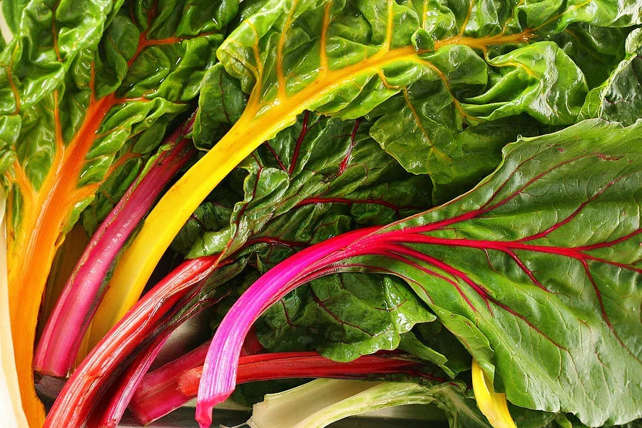 Swiss Chard Seeds - 4 Star Heirloom Beta vulgaris subsp. cicla, Nutrient-Rich Greens for Gardening, Full Sun, Organic, Non-GMO