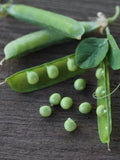 Alaska Peas Seeds 8oz Heirloom Microgreens Fast Growing Pisum sativum for Indoor Garden, Salad, Nutrient-Rich