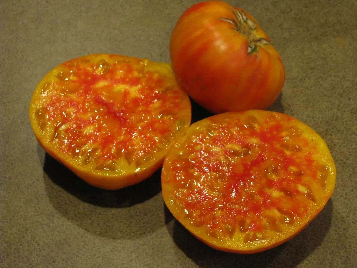 Hillbilly Tomato Seeds - Organic Heirloom Non-GMO, 30+ Rare Solanum lycopersicum Seeds for Home Garden, Salad & Canning