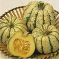 Sweet Dumpling Winter Squash Seeds – 40+ Non-GMO Open-Pollinated Cucurbita pepo for Fall Harvest