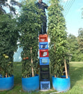 Bulk Tomato Tree Seeds - Heavy Yield, Large Juicy Tomatoes, Solanum lycopersicum, Indeterminate, Easy Grow