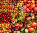 Ultimate Tomato Seeds Pack - 250 Non-GMO Solanum lycopersicum Varieties for Gardening & Landscaping