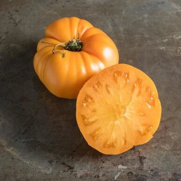 Yellow Brandywine Tomato Seeds - Organic Non-GMO Heirloom Lycopersicon lycopersicum, Juicy Yellow Tomatoes for Salads & Cooking