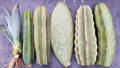Mixed Cactus Tip Cuttings Pack – 10-11.5 Inch Unrooted Desert Cactus Propagation Assortment