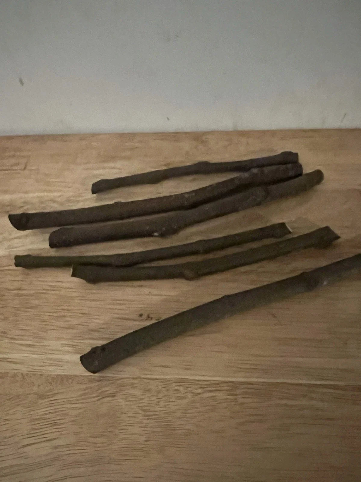 LSU Purple Fig Cuttings 6-Pack | Ficus carica Hardwood Propagation for Home Garden & Patio