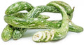 Speckled Snake Gourd Seeds, 10 Pack, Trichosanthes cucumerina, Vining, Exotic 3 Foot Long Gourds for Garden or Culinary