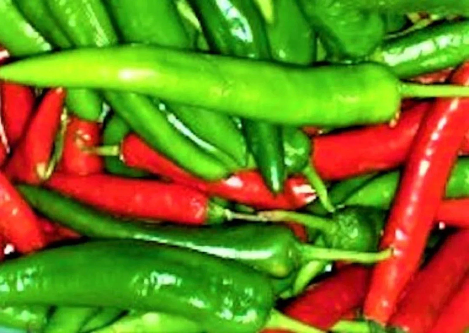 Cayenne Long Red Slim Pepper Seeds - Non-GMO Capsicum annuum for Spicy Gardening, Salsas & Sauces