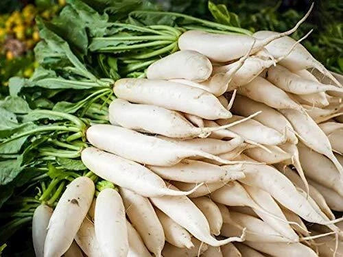 Daikon Radish Seeds - Cover Crop, Deer Resistant, Raphanus sativus var. longipinnatus, 100+ Seeds