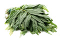 Huacatay Seeds Pack of 100 - Peruvian Black Mint Herb - Tagetes minuta - Culinary & Medicinal Plant