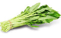 White Stem Water Spinach Seeds, Ong Choy, Kong Xin Cai, Ipomoea aquatica, 50 Pack, Nutritious, Fast-Growing, Edible Greens