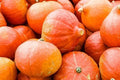 Orange Magic Winter Squash Seeds - Heirloom Cucurbita pepo, Non-GMO, Full Sun, Pack of 20 for Home Gardening