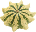 Crown of Thorns Shenot Gourd Seeds – Organic Heirloom Cucurbita pepo for Home Gardening, Decorative & Culinary Use