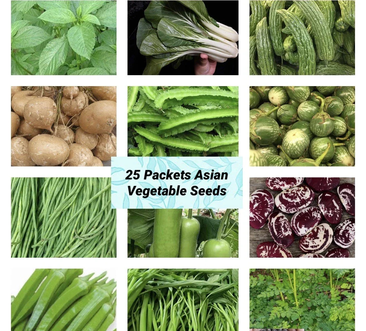 Asian Vegetable Seeds Set of 25 – Heirloom & Hybrid Varieties for Home Garden, Container, or Raised Bed Cultivation